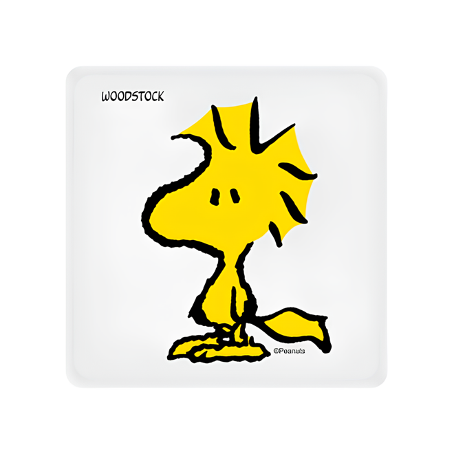 Mini Luminária Box Snoopy - Woodstock